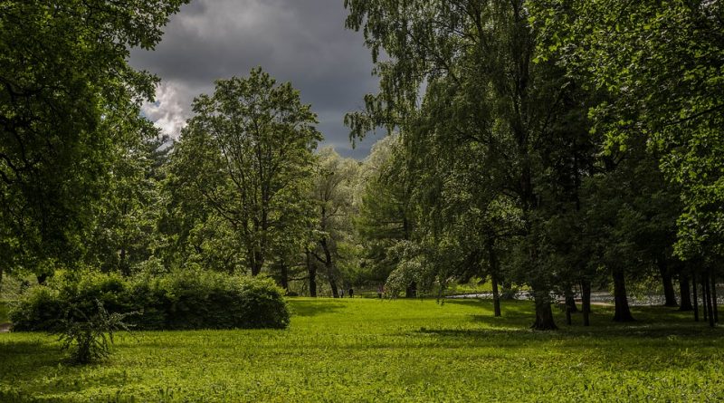 Bezpečí na prvním místě. Jak zabezpečit městský park?