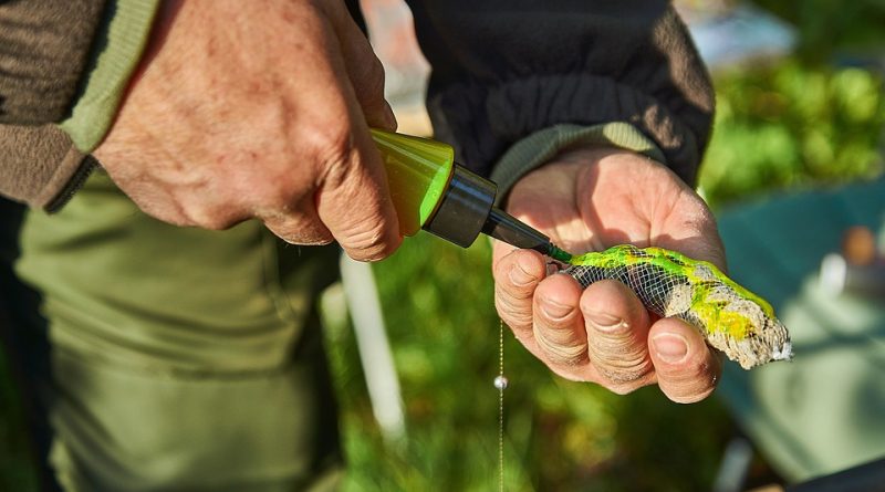 Ryby a barvy – mají barevné nástrahy vůbec smysl?